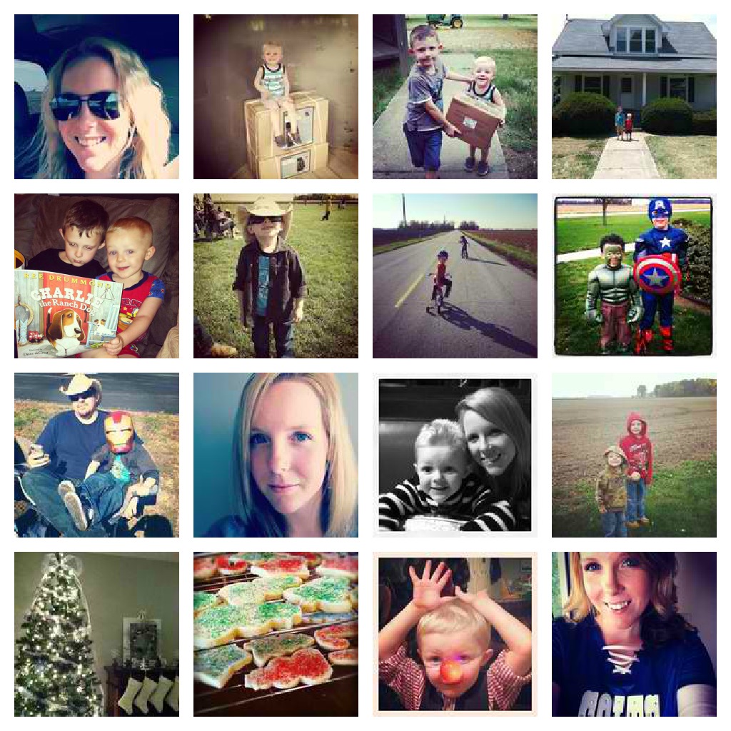 Instagram Year in Review Love Grows Wild