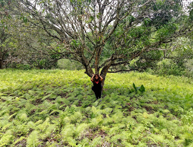 Danao-City-Trekking-In-Cebu Danao-City-Trekking-In-Cebu