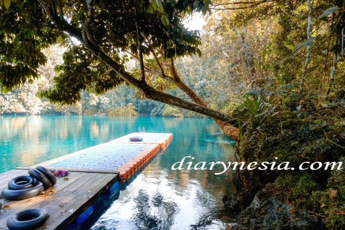 labuan cermin lake located in berau, crystal clear lake in berau, best time to visit labuan cermin, diarynesia