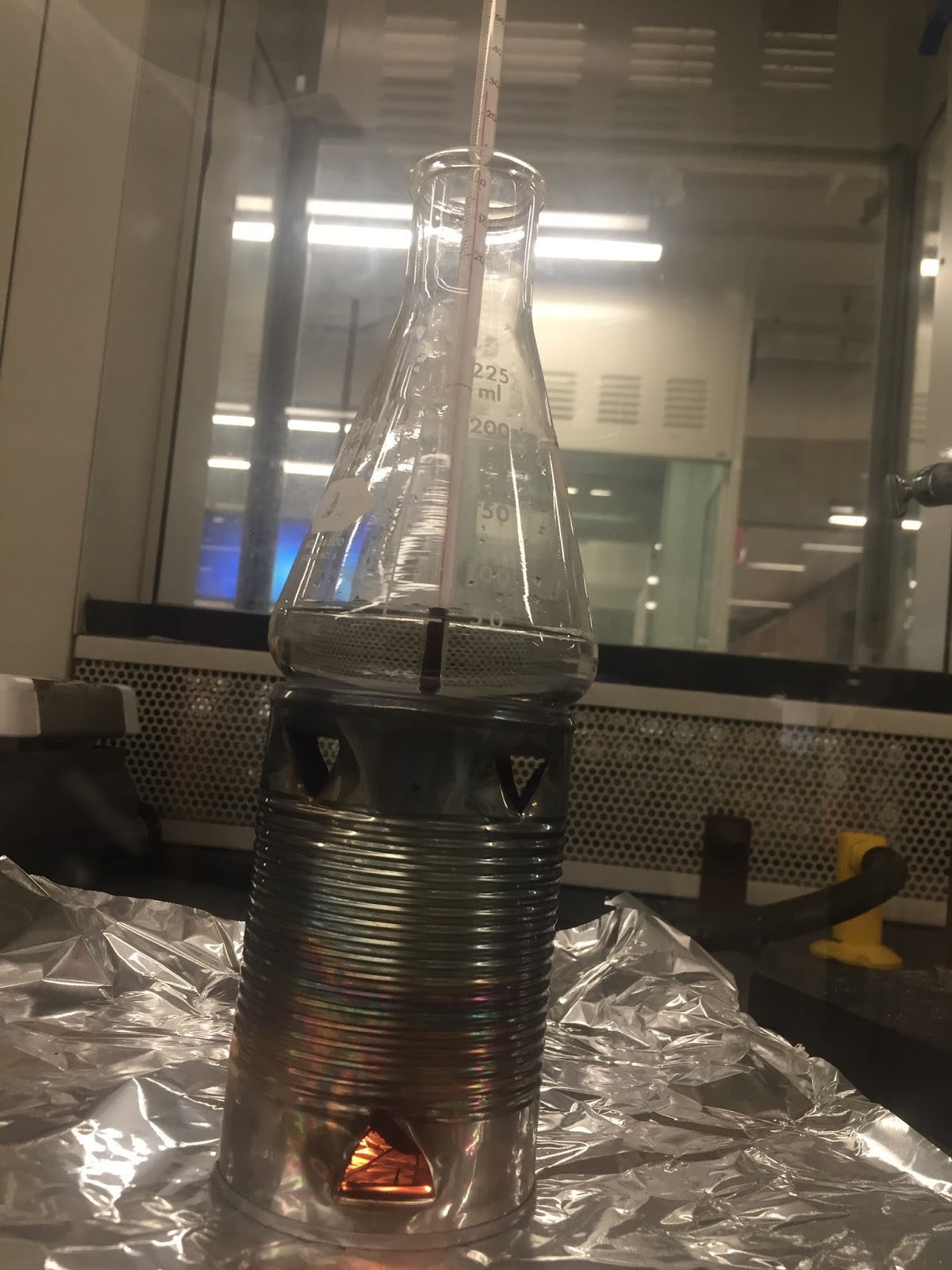 Amelia's CTD Chemistry Honors Laboratory Blog Lab 17 Calories in Food