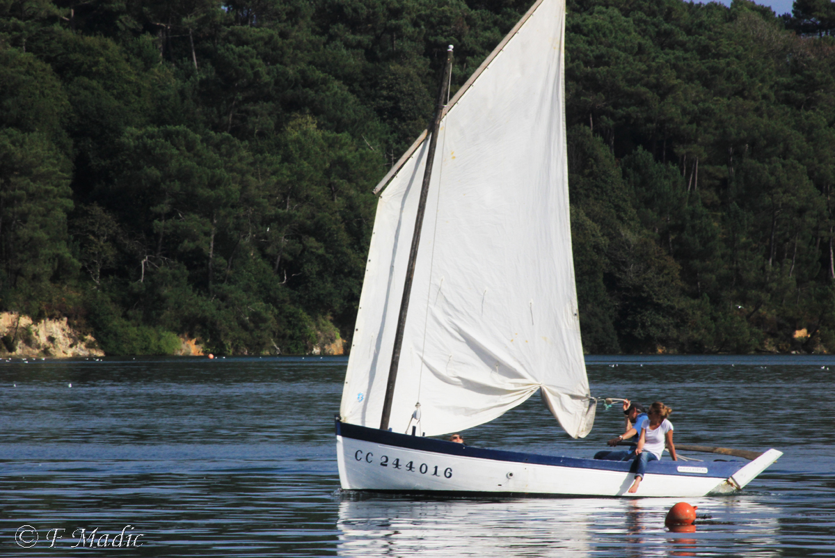 Voilier à un mât (voile aurique ou carrée) PETITE ANNICKA (CC 244016)