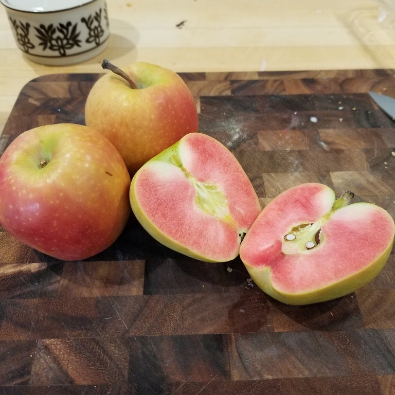 TYWKIWDBI ("TaiWikiWidbee") Heirloom apples