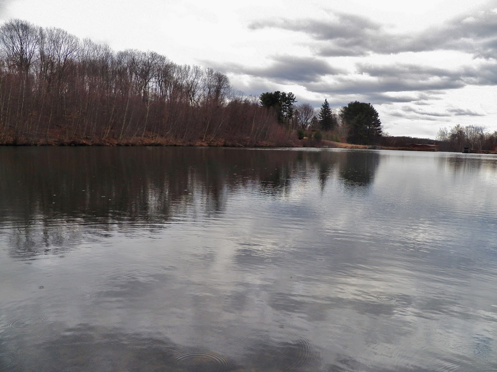 Connecticut Fly Angler River Herring, 2 for 3 in Carp Outings, and