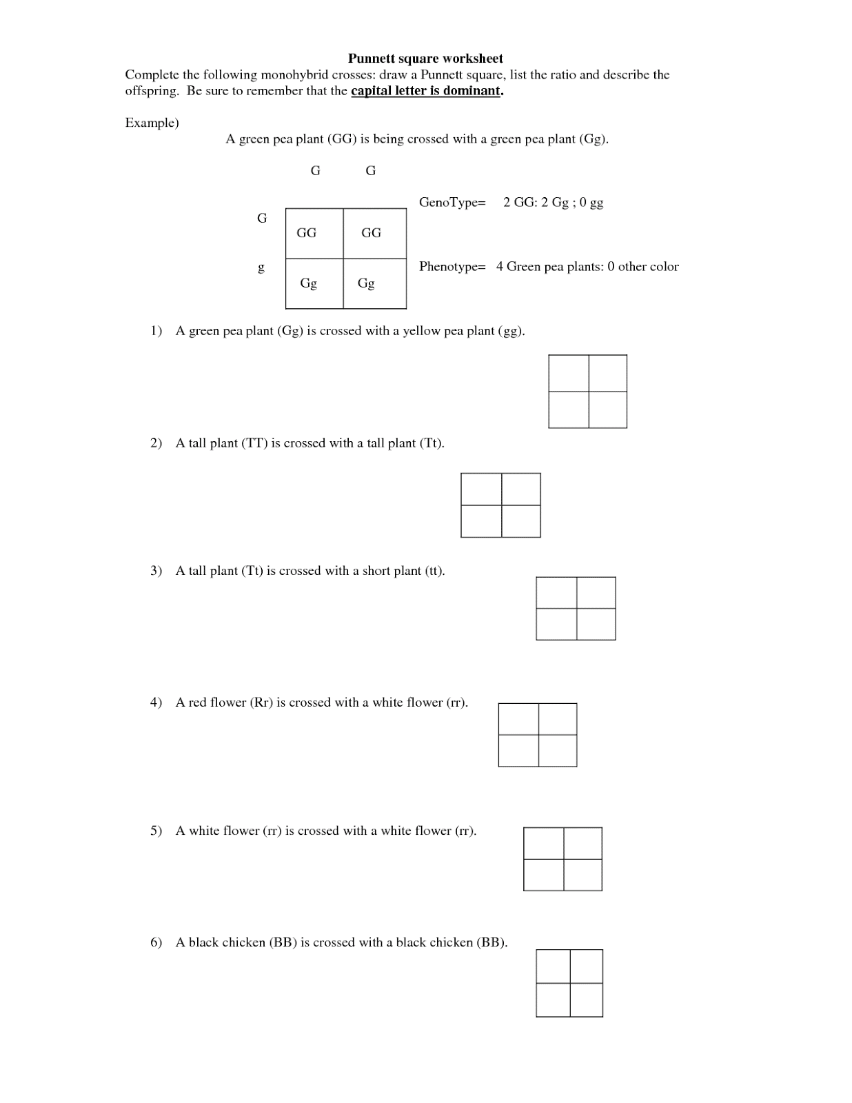 Monohybrid Cross Worksheet Answers