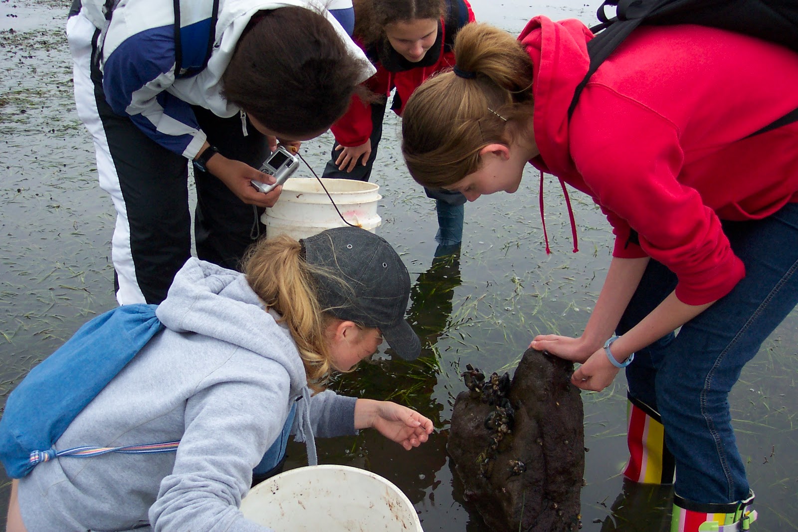 Huntsman Marine Science Centre: Summer Marine Biology Courses
