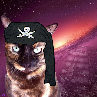 Image result for #nipclub pirate