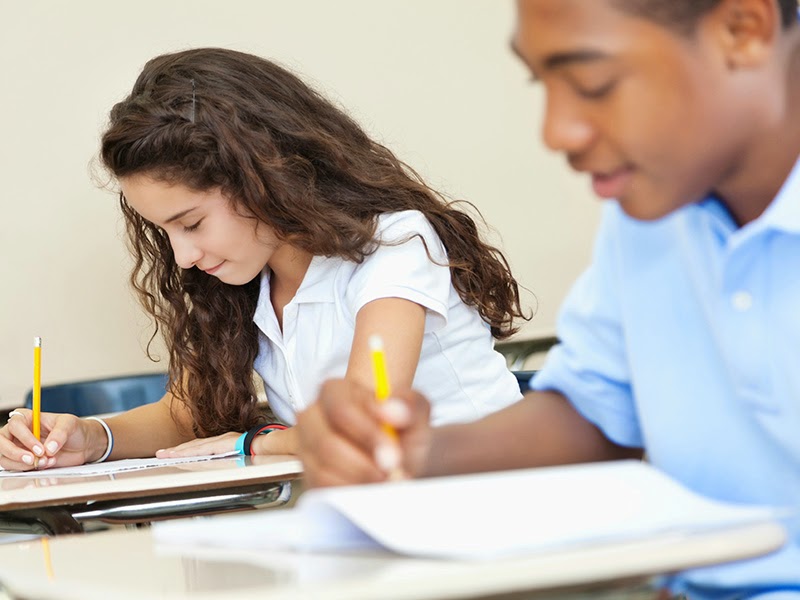 Hundreds of Advanced Placement (AP) Awards Won The School Zone