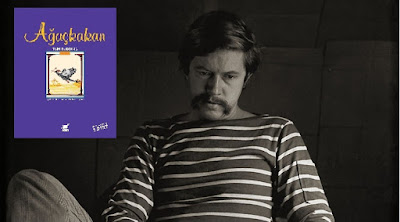 Ağaçkakan Tom Robbins Ağaçkakan Tom Robbins