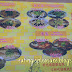 [Food] Choong Steam Fish Restaurant @ Selayang