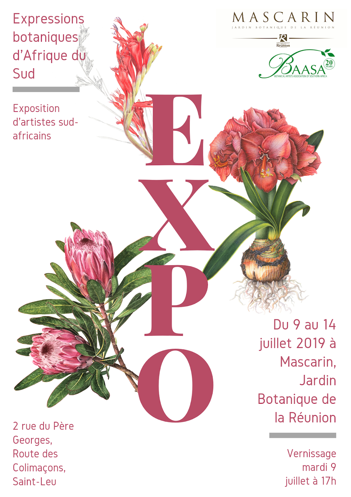 Botanical Artists Association of Southern Africa Reunion Island Exhibition