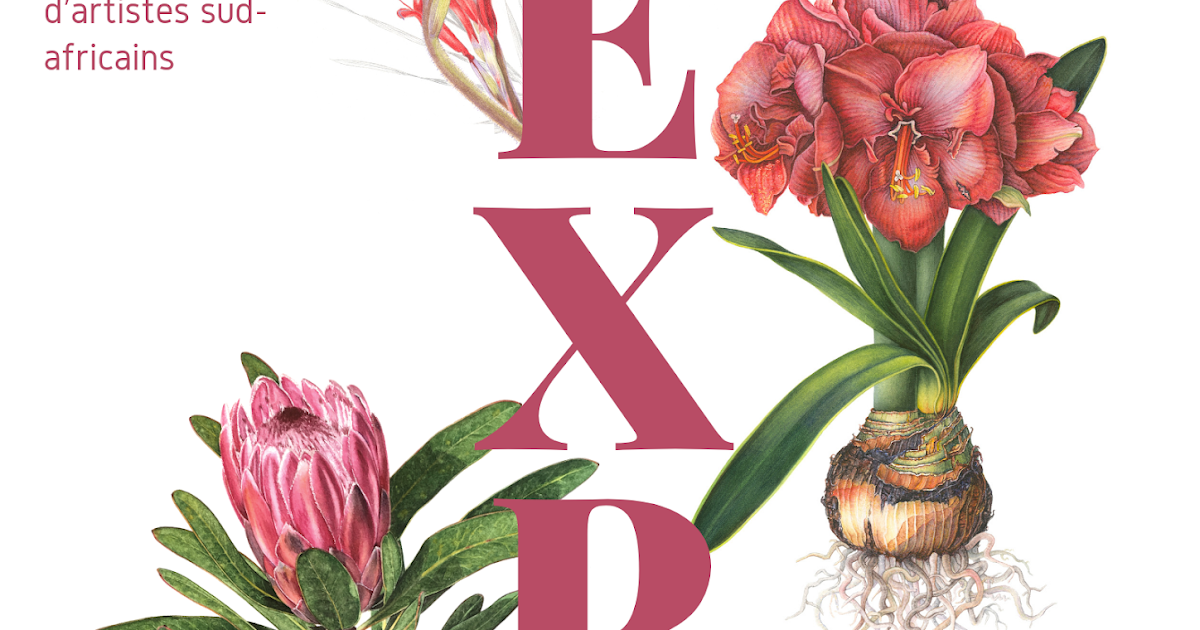 Botanical Artists Association of Southern Africa Reunion Island Exhibition