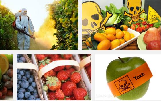  Pesticide in Fruits