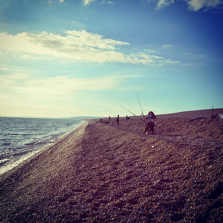 Fish Hooked Beach Fishing Chesil Beach