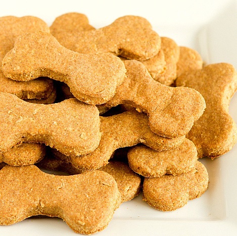 Dog Treats Pictures