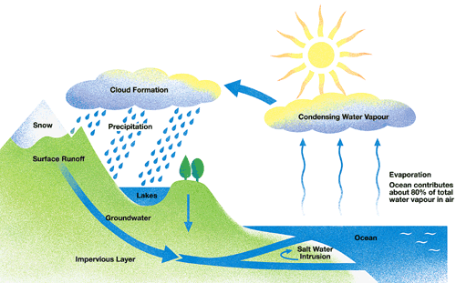 Water Cycle - IELTS Writing Task 1