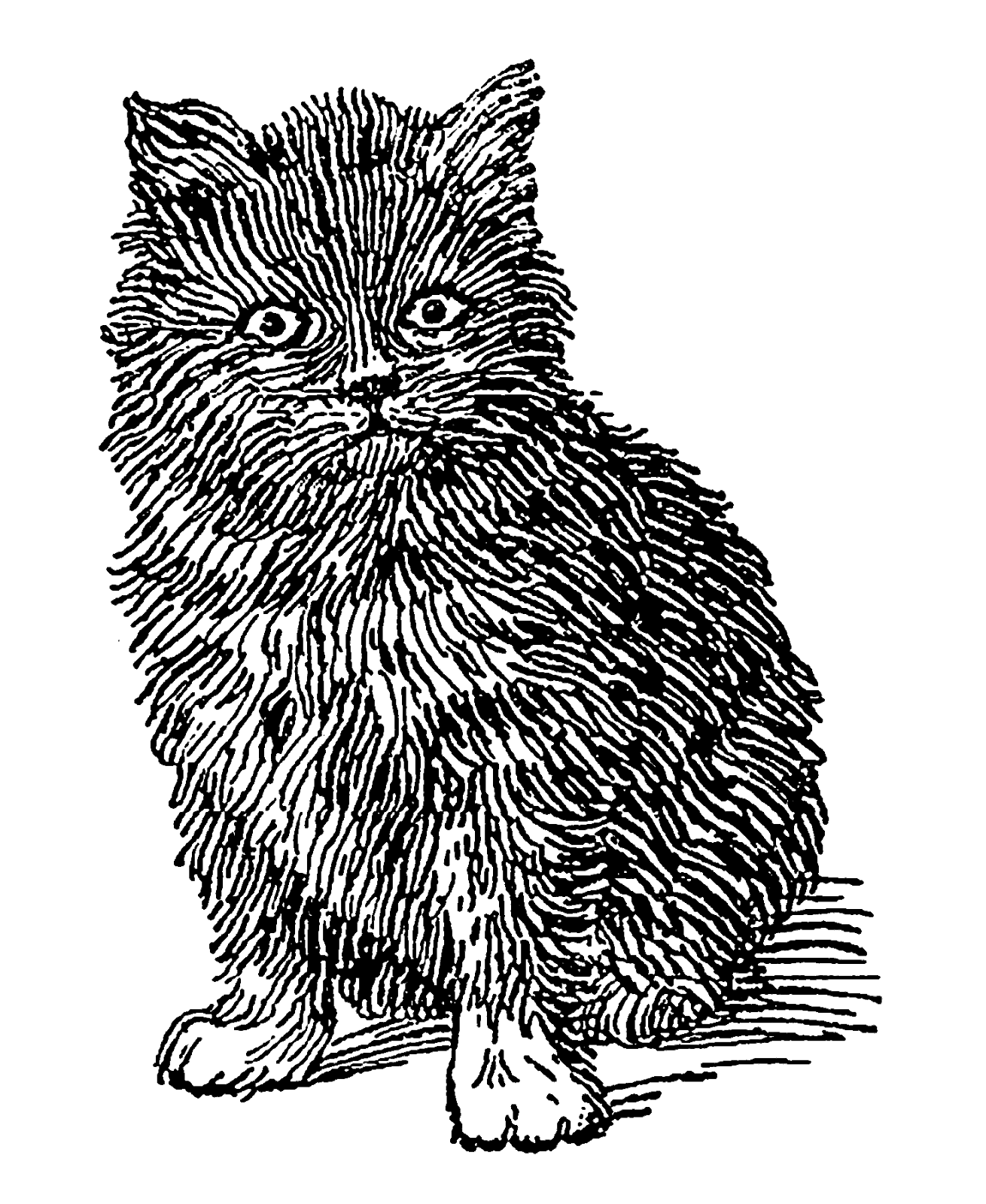 Digital Stamp Design Printable Vintage Kitten Artwork Clip Art Downloads Cat Illustration Images