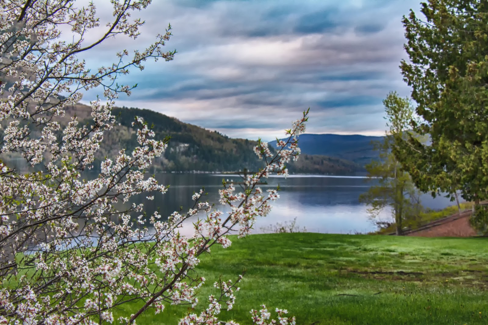 Carol's View Of New England Spring at Crystal Lake, Barton VT