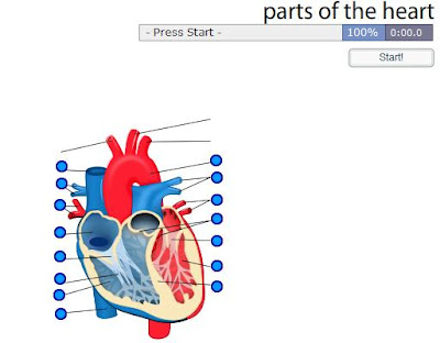 CLIL STARTERS: PARTS OF THE HEART GAME