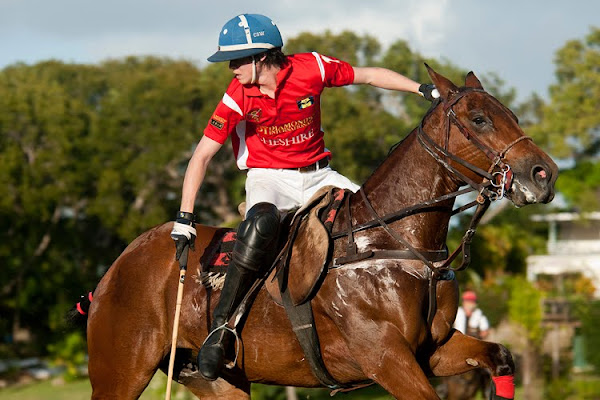 Cheshire polo player