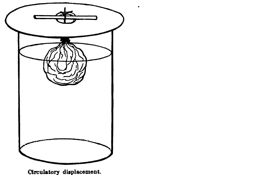 R Herbal MACERATION.