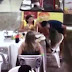 ENCIUMADO: Com medida protetiva, mulher é surrada por ex em bar