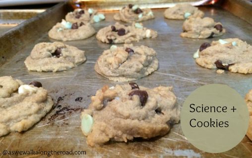 Fun ideas for teaching science Fun ideas for teaching science