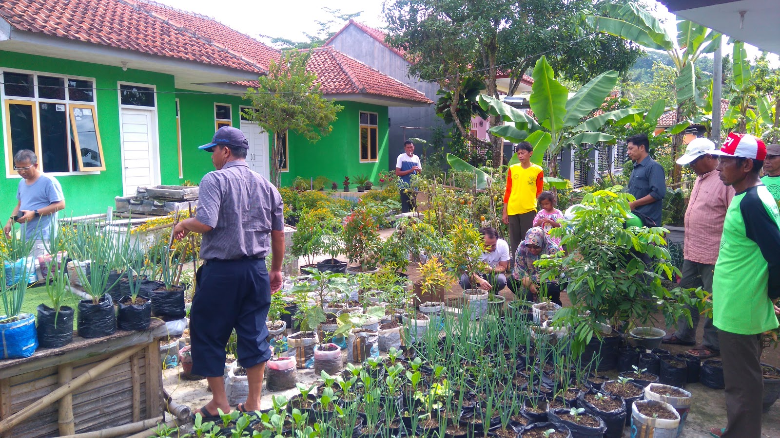 Urban Farming di Pedesaan: Mengoptimalkan Lahan untuk Pertanian Kekinian