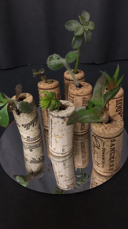 WashingtonGardener DIY Succulent Wine Cork Planter