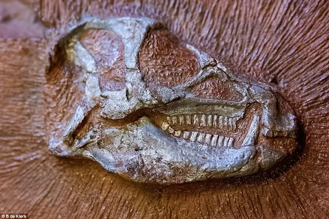 X-rays reveal secrets of tiny dinosaur trapped in rock for 200 million years