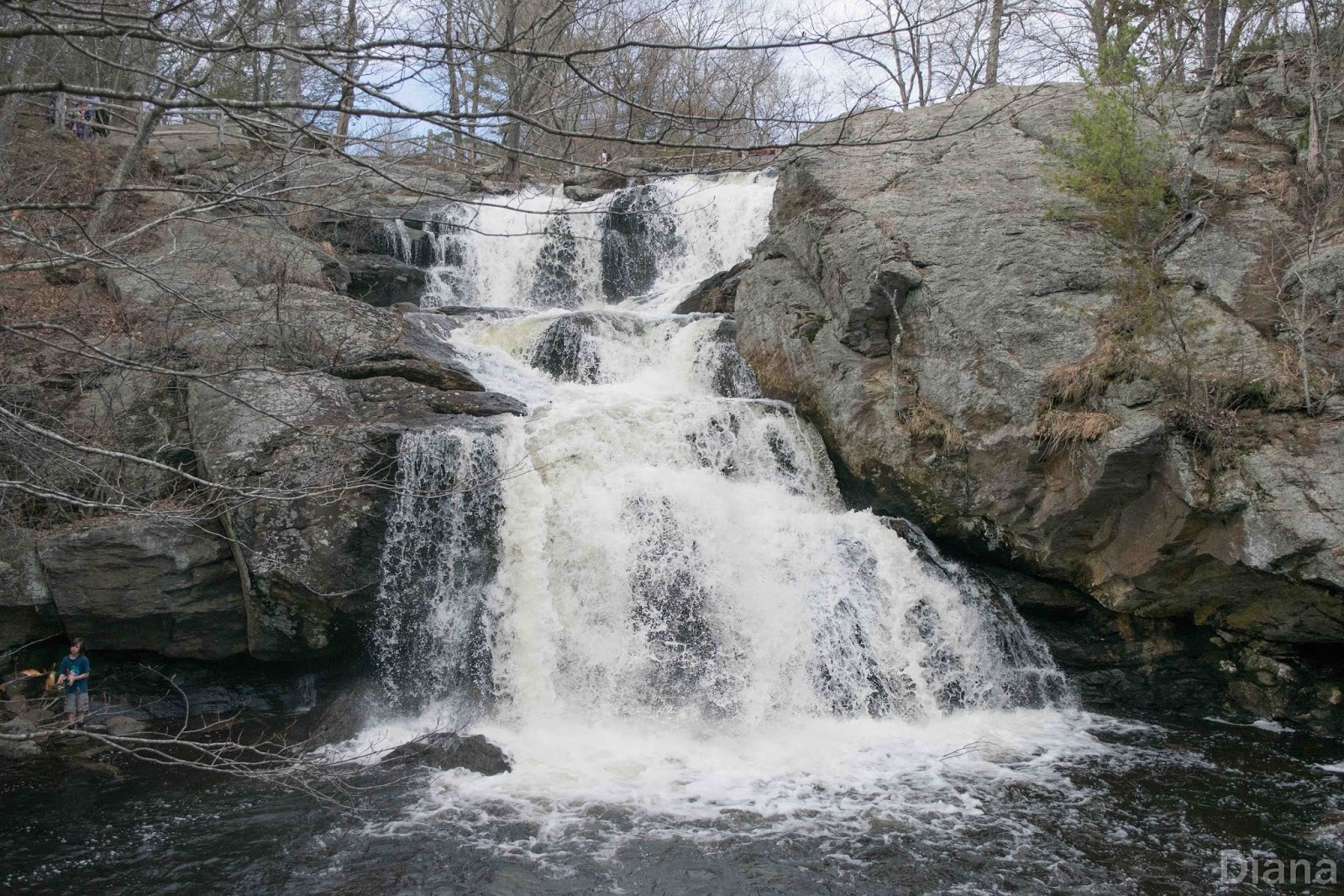 Diana’s Little Corner in the Nutmeg State Photo Shoot Monday