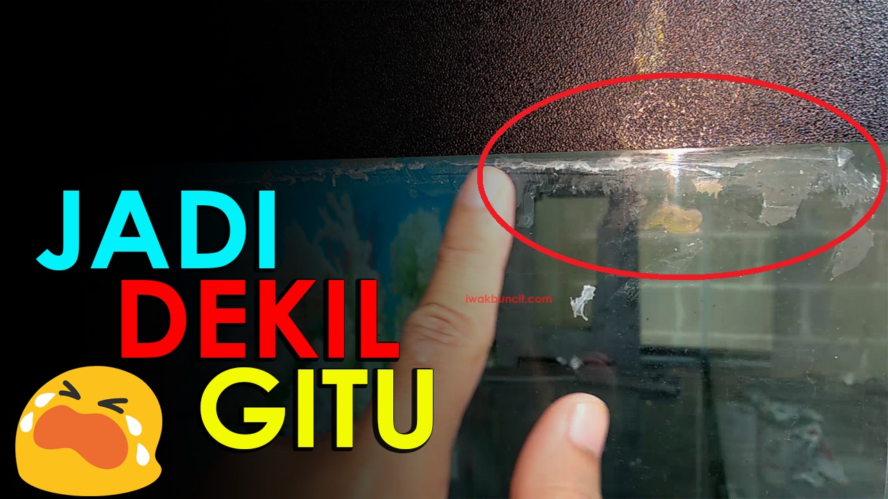 Kesulitan Menghilangkan Bekas Lem Kaca Di Aquarium Coba Tips