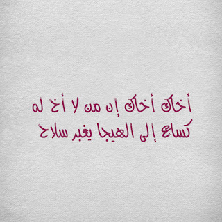 أقوال عن الأخ، أقوال معبرة وحكم عن الأخ، كلمات معبرة عن الأخ
