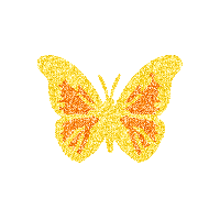 A9.gif