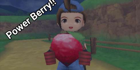 How to Get All Power Berries - Harvest Moon: Hero of Leaf Valley Guide