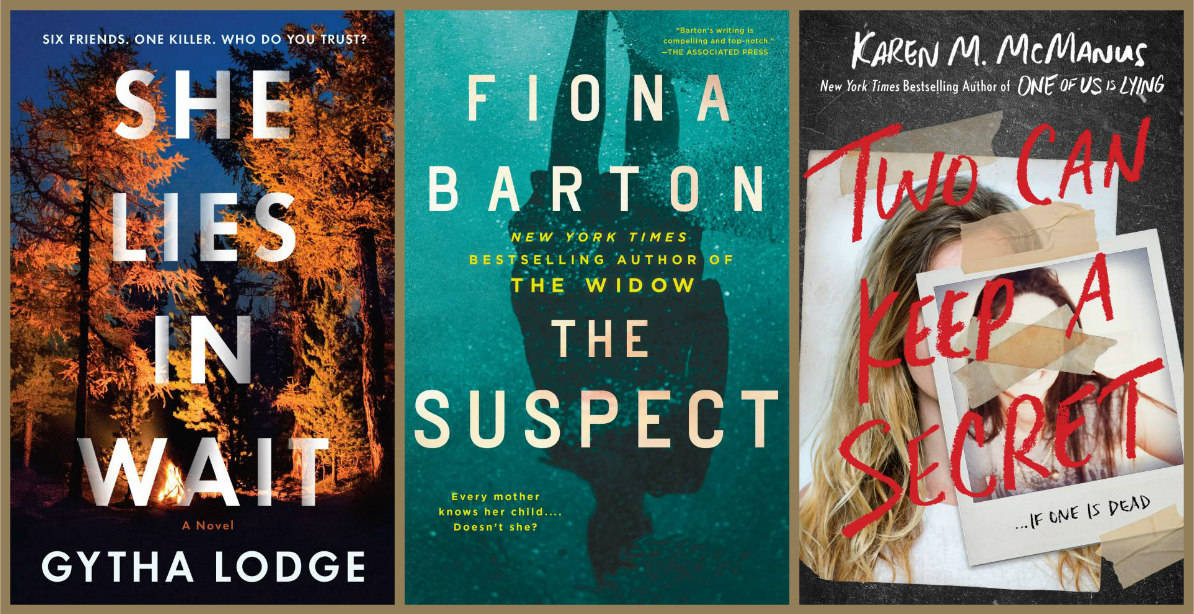 Beth Fish Reads 7 New Thrillers Written by Women