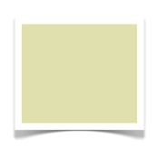celery-green-donna-frasca.jpg