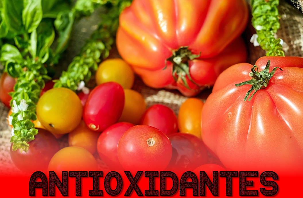 que alimentos son antioxidantes naturales 191 qu 233 son los antioxidantes notas de salud que alimentos son antioxidantes naturales 191 qu 233 son los antioxidantes notas de salud