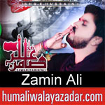 https://www.humaliwalyazadar.com/2018/09/zamin-ali-nohay-2019.html