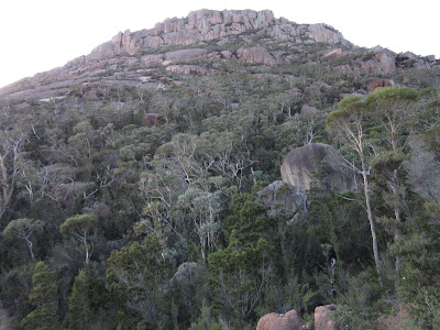 Monte Amos. Freycinet, en Tasmania Monte Amos. Freycinet, en Tasmania