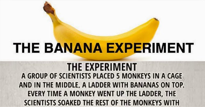 This Is The Banana Experiment And It’ll Leave You With An Important Life Lesson
