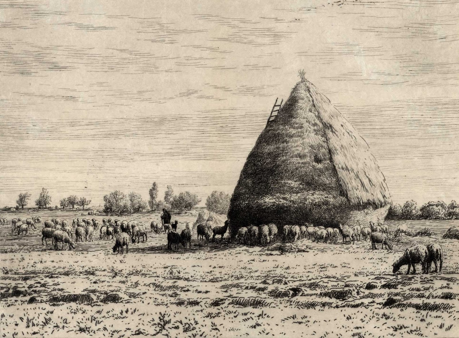 Prints and Principles