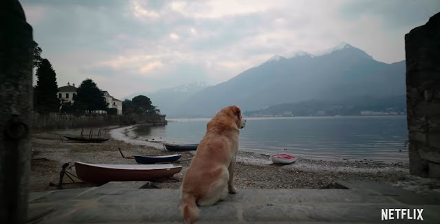 Netflix's Dogs: Full Season Review