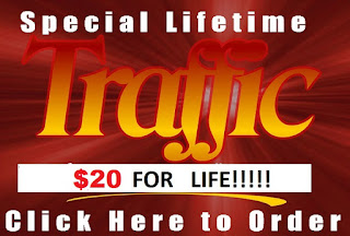 Order Your Lifetime Website or Blog Traffiic Now!