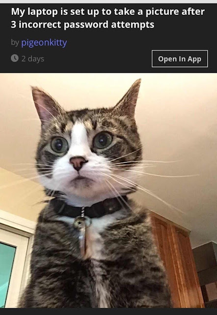 Security Memetics On The Internet No One Knows You Re A Cat