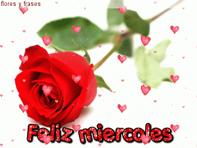 Resultado de imagen de Feliz miercoles frase e imagen con flores