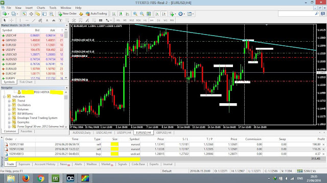 Forex Crazy Profit + Bimbingan