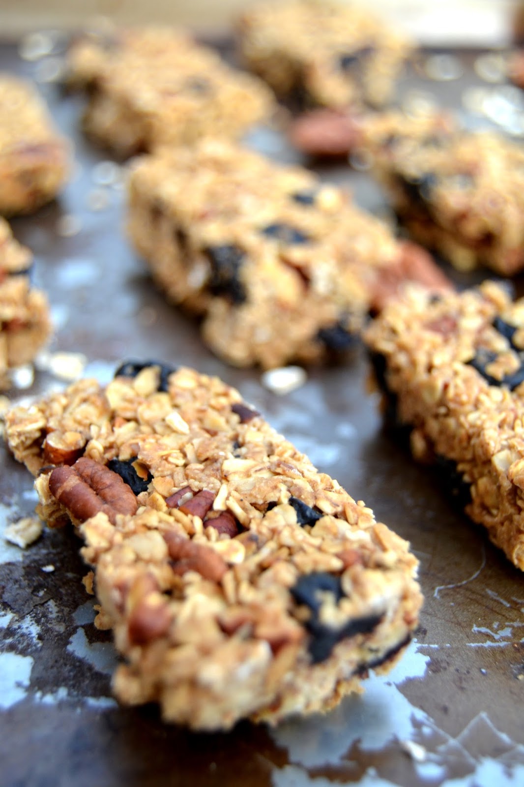 Cakeyboi Blueberry Coconut and Maple Granola Bars