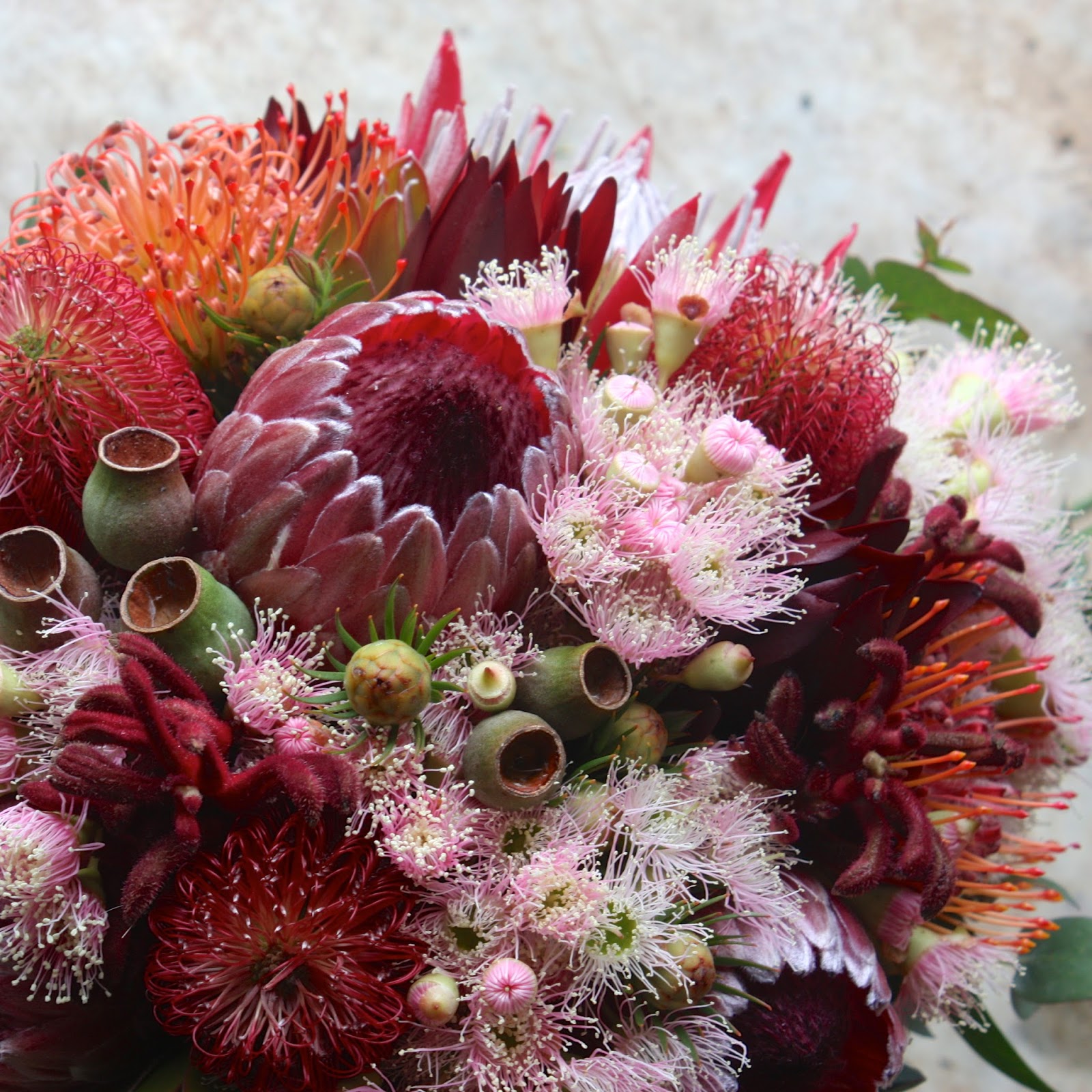 Swallows Nest Farm February Flowers