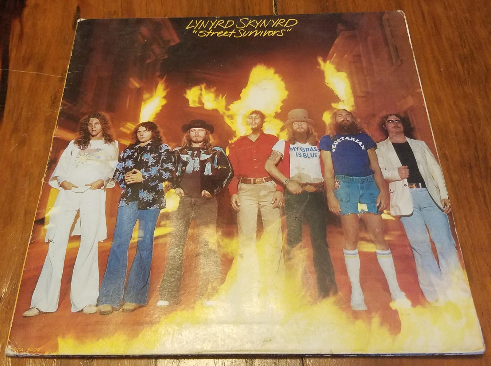 Questioning Our Reality Lynyrd Skynyrd Fake Plane Crash