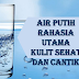 Manfaat Minum Air Putih Untuk Kesehatan Kulit
